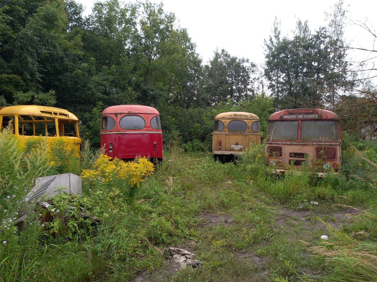 20250809_074317.jpg