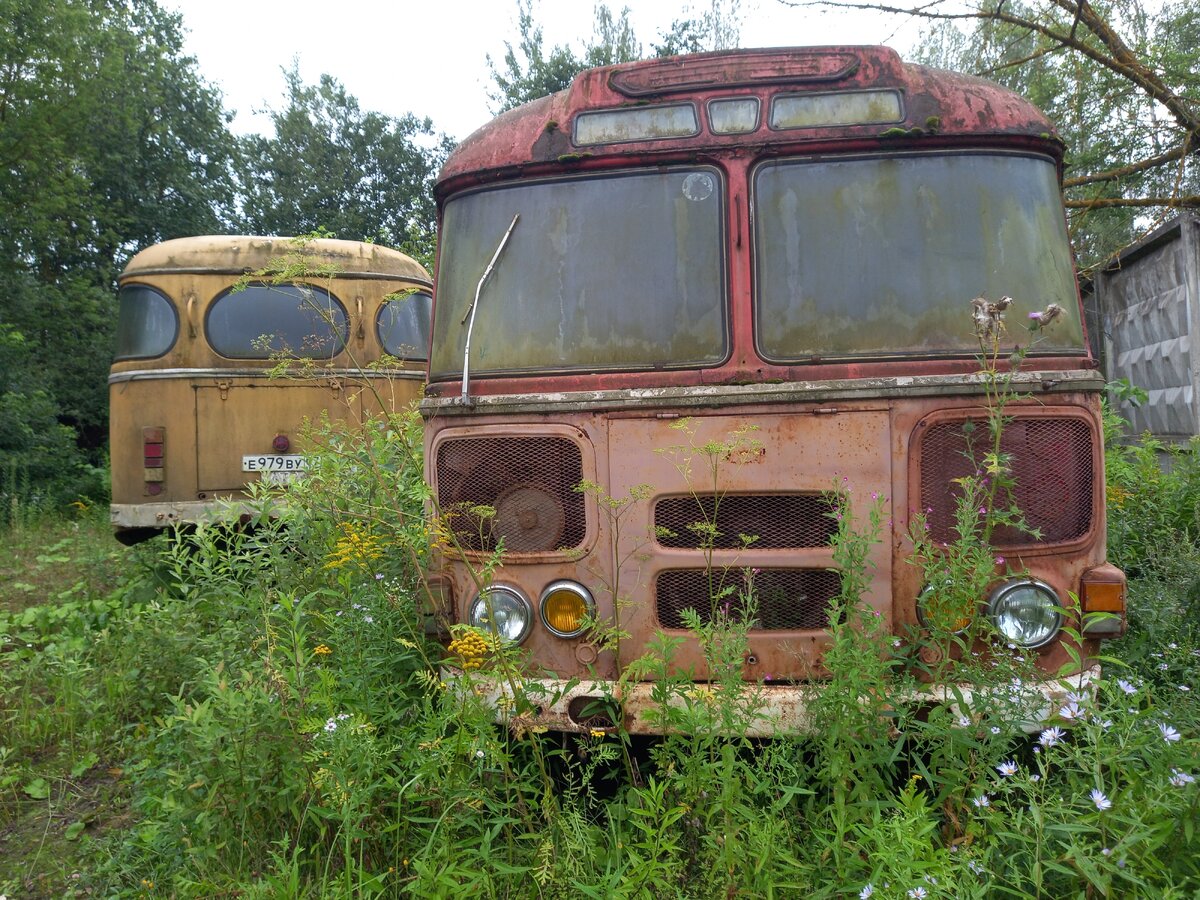 20250809_074454.jpg