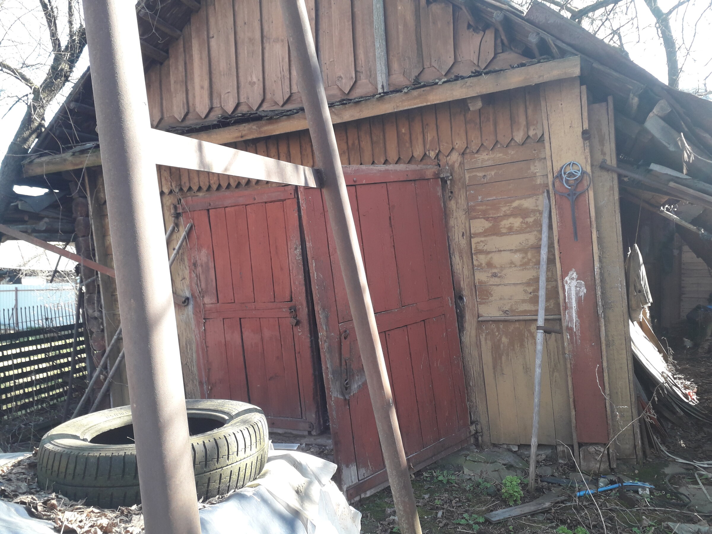 20260402_114206.jpg