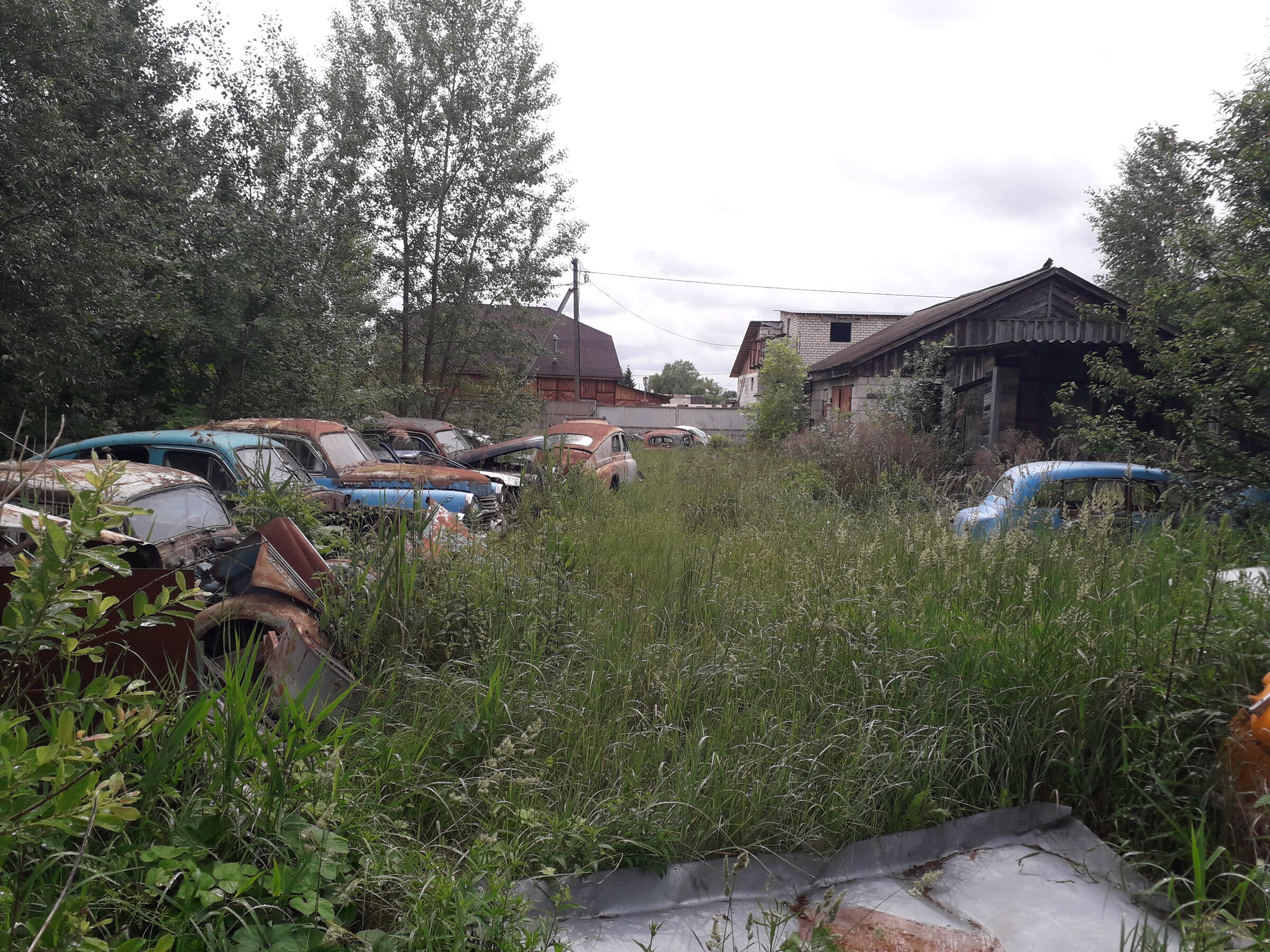 20260612_144743.jpg