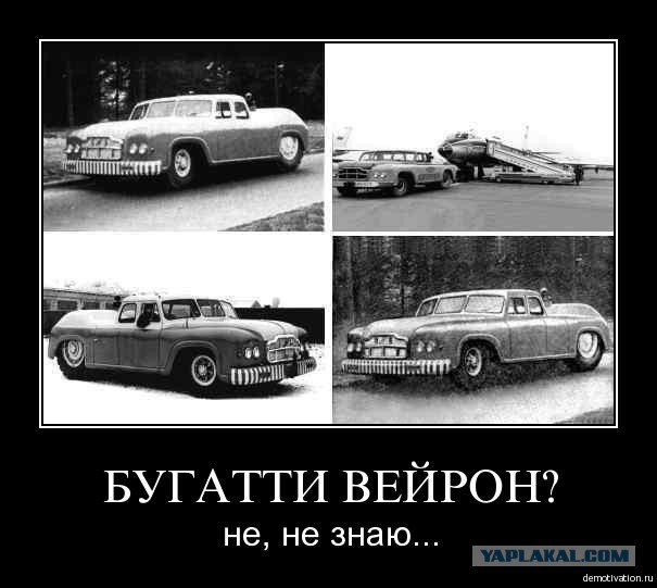 2400743.jpg
