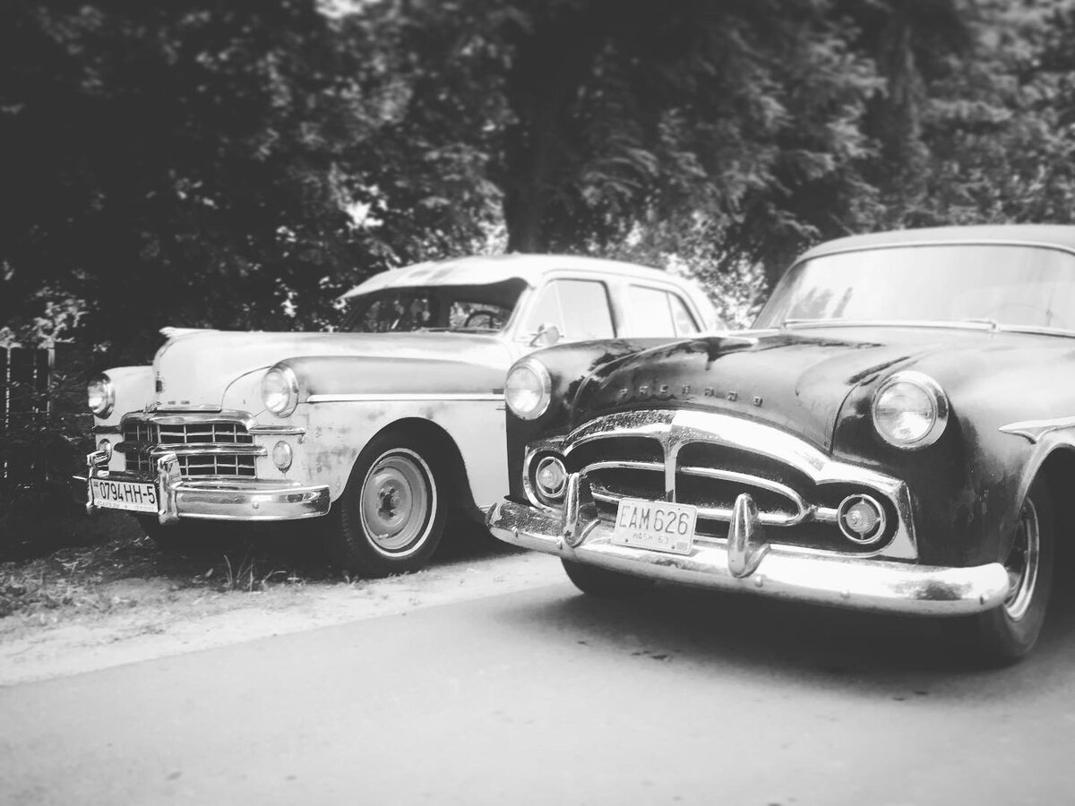 3479805F-F549-4226-8C3F-AB64AA1BD363.jpeg