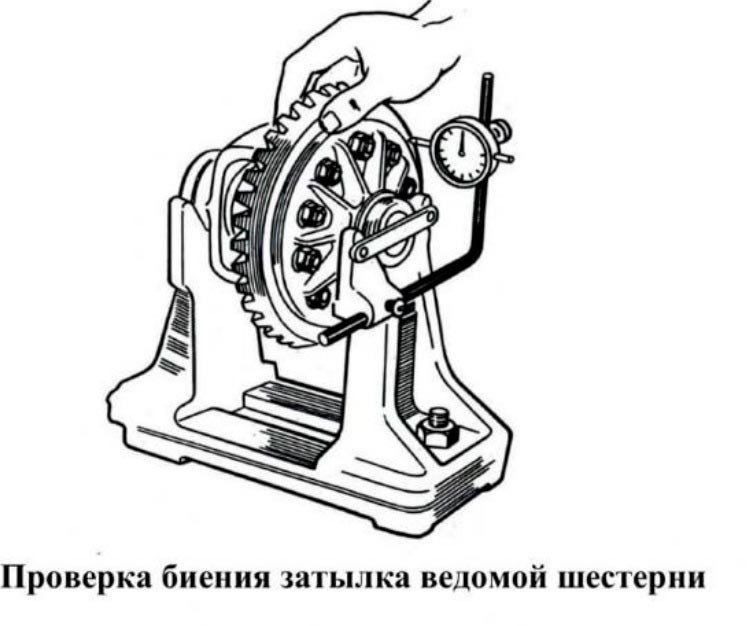 363.jpg.94bafb91f54323a32392d417bd30b7ed.jpg