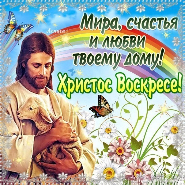 39789815.jpg