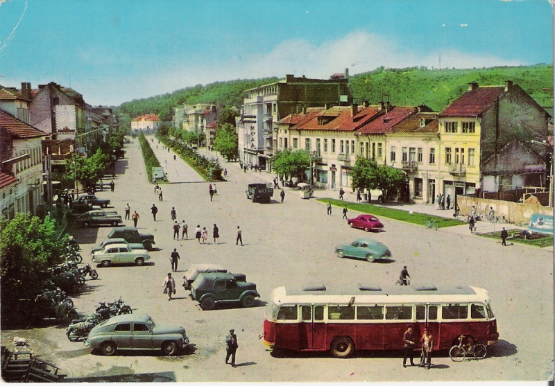 4031851.jpg