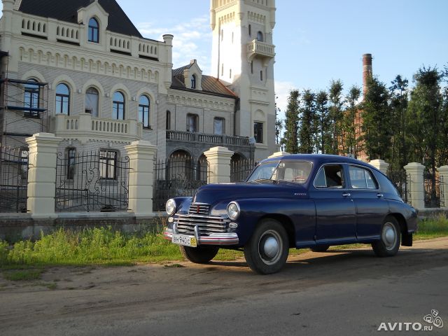 430841656 (1).jpg