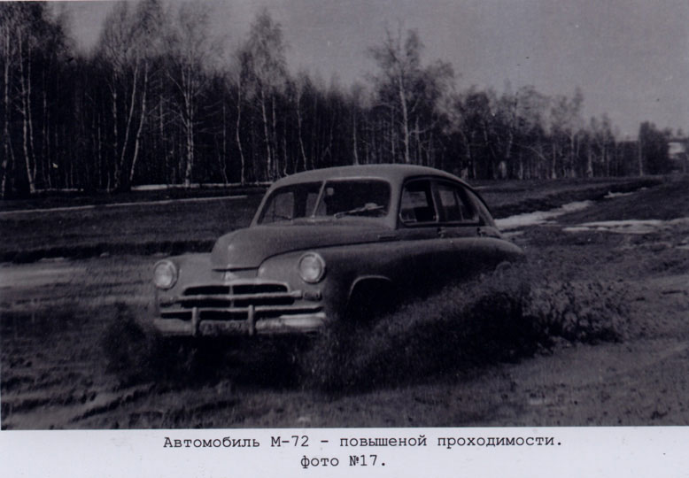 48606731.jpg