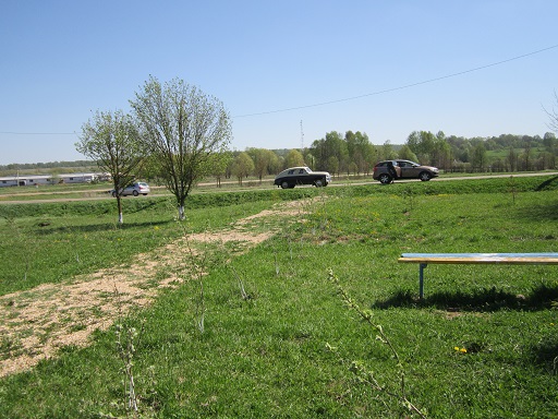 513.jpg