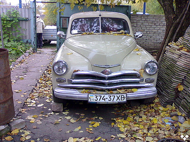 6857712f.jpg
