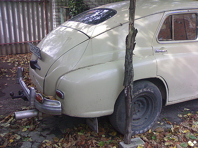 6857732f.jpg