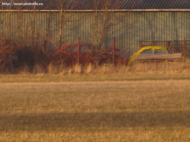 7362677.jpg