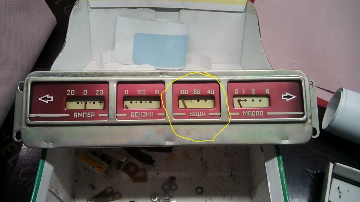 9076186s-1920.jpg