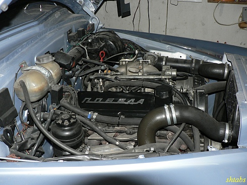 95397059.jpg