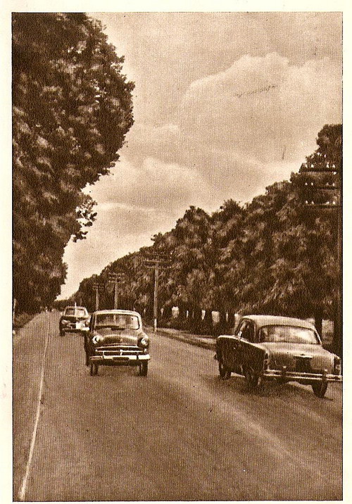 Avto1.jpg