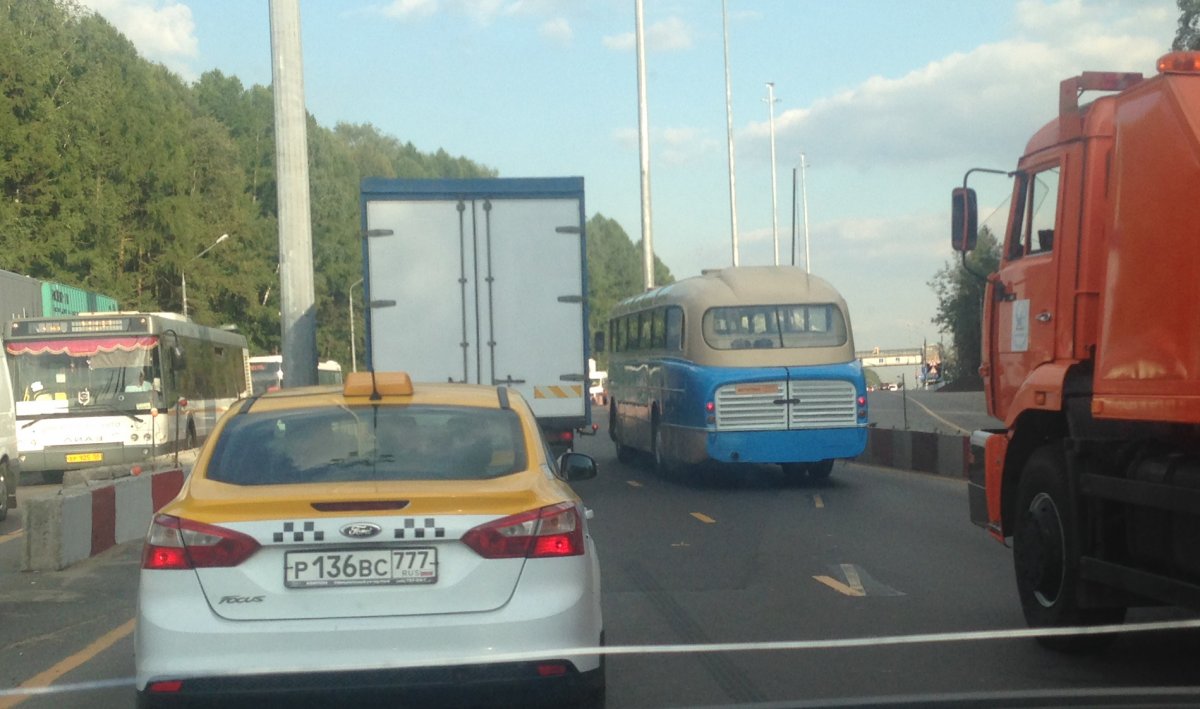 bus_8964.jpg