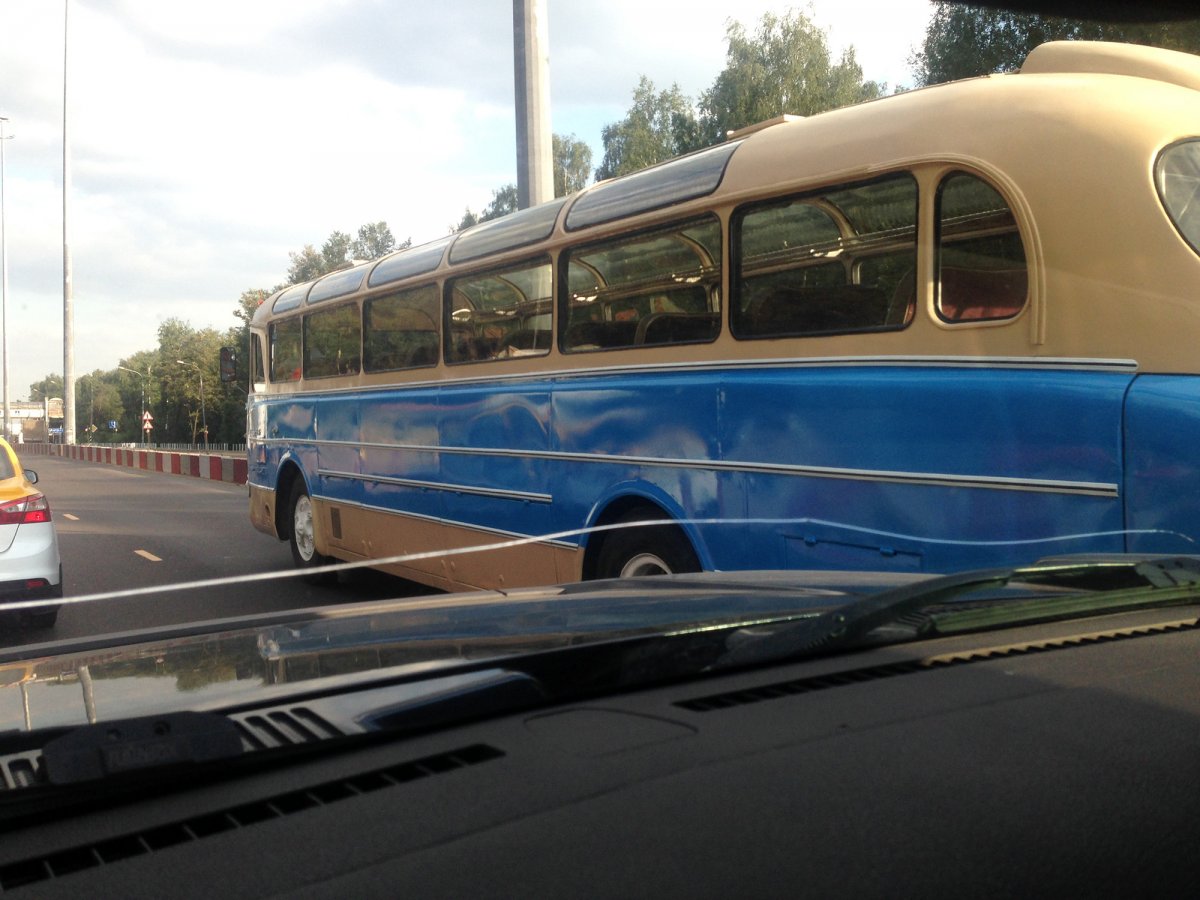 bus_8965.jpg