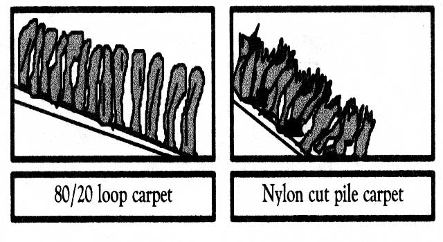 carpet.jpg