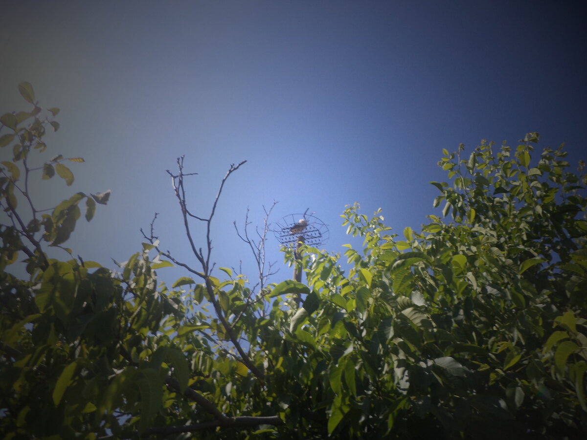 DSC00001.JPG