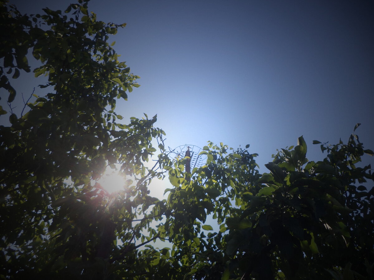 DSC00002.JPG