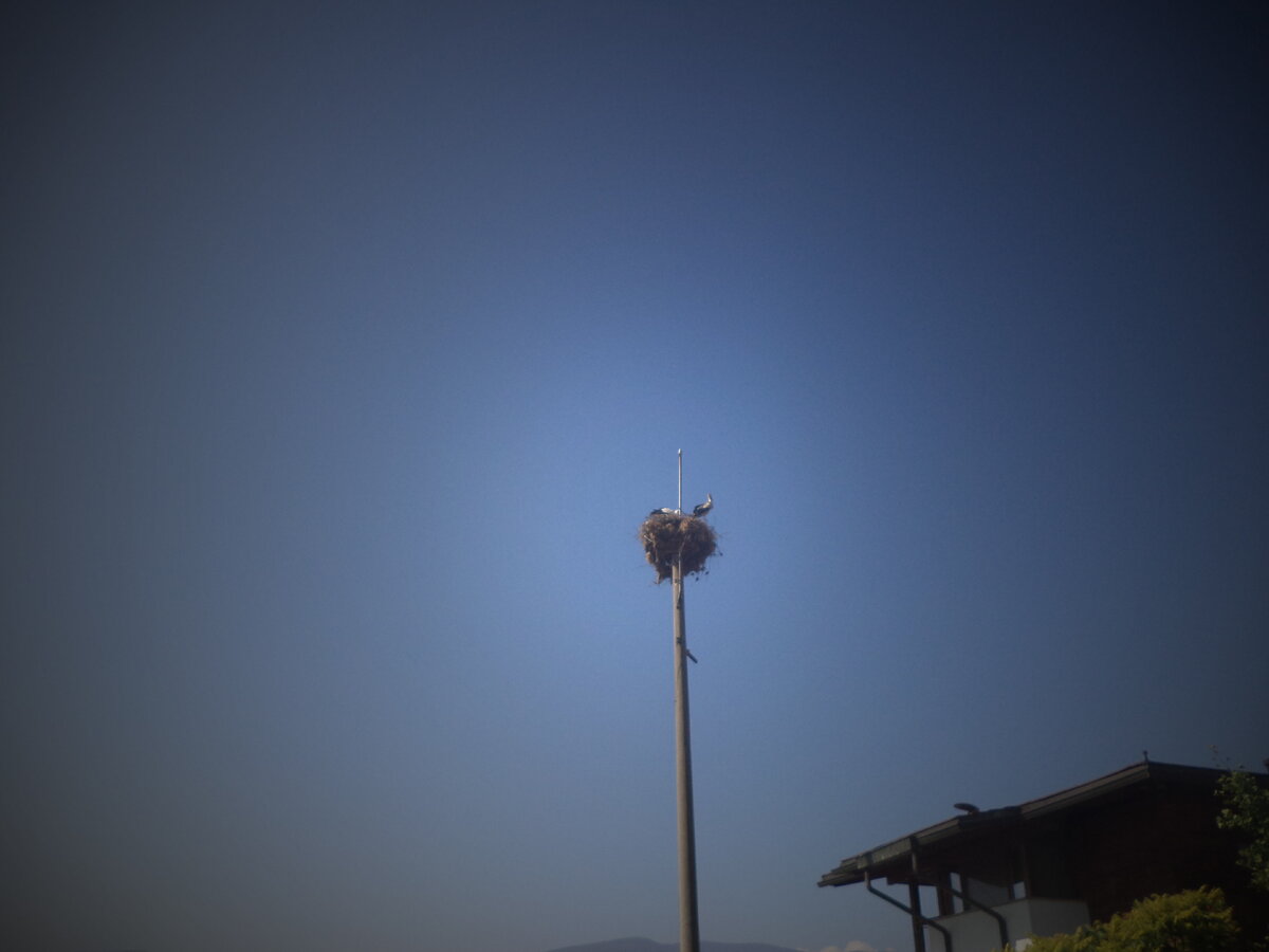 DSC00005.JPG