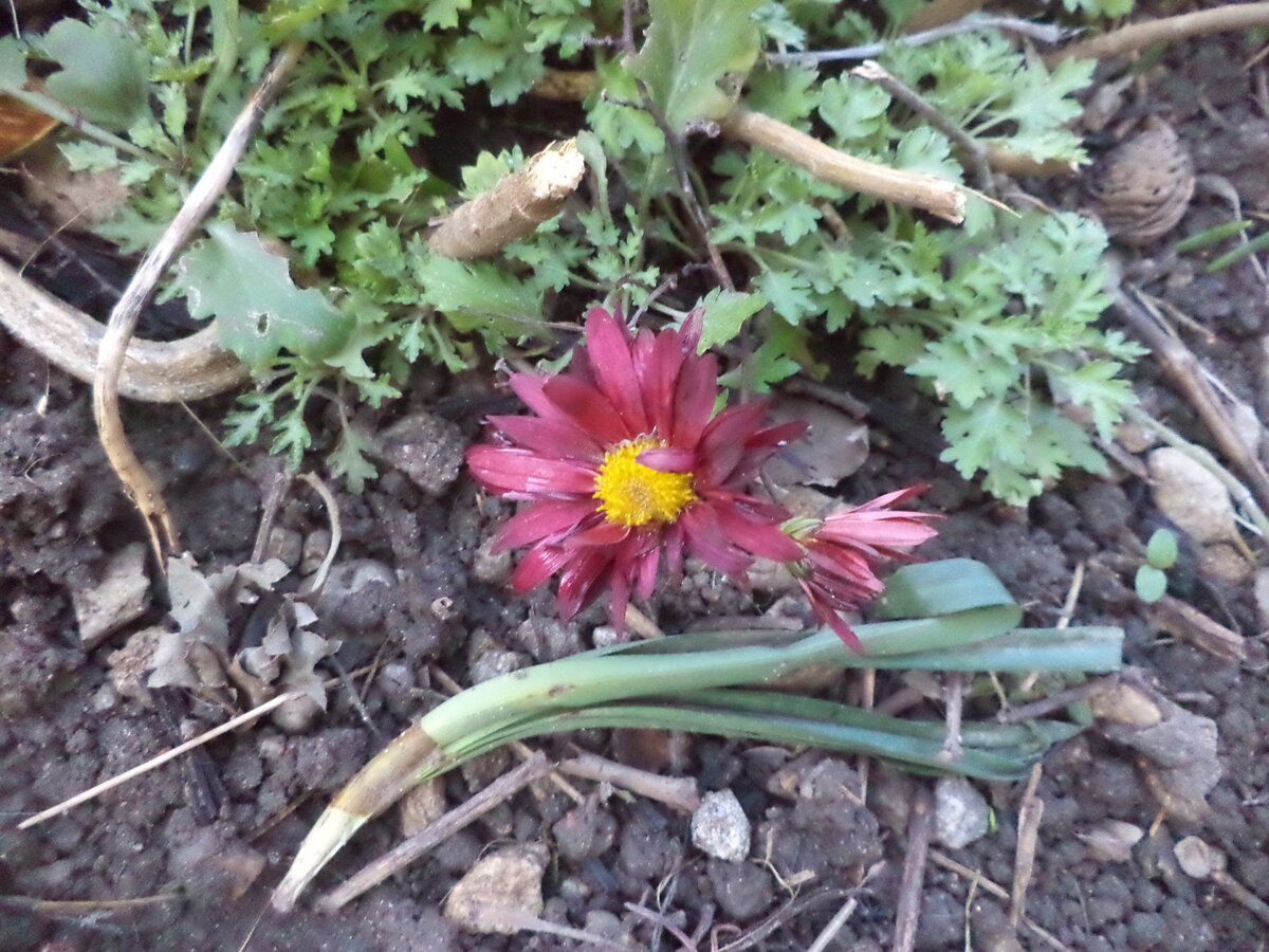 DSC00040.JPG