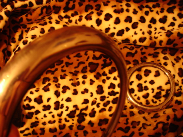 DSC00103.JPG