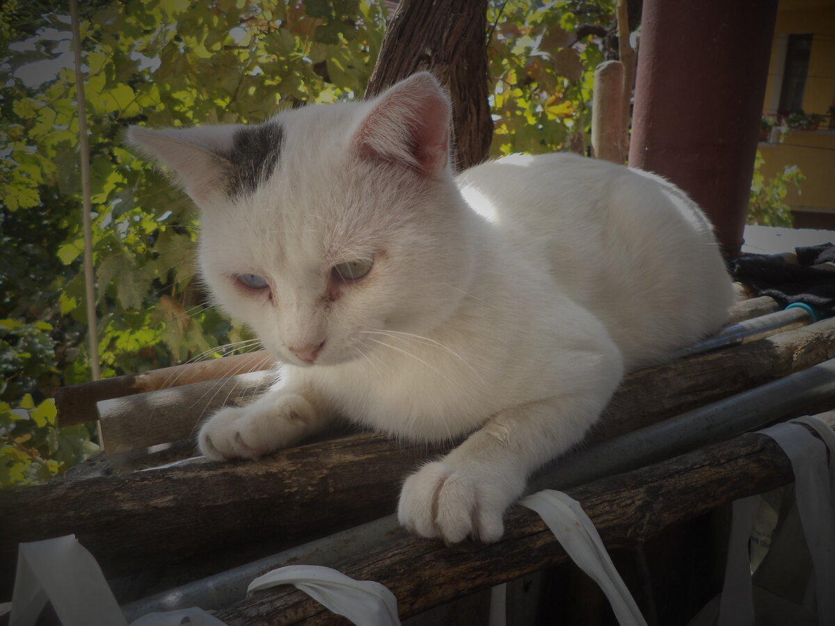 DSC00135.JPG