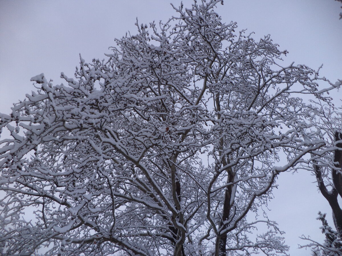 DSC00264.JPG