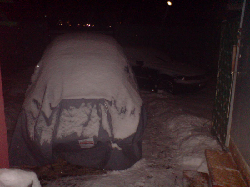 DSC00290-6.jpg