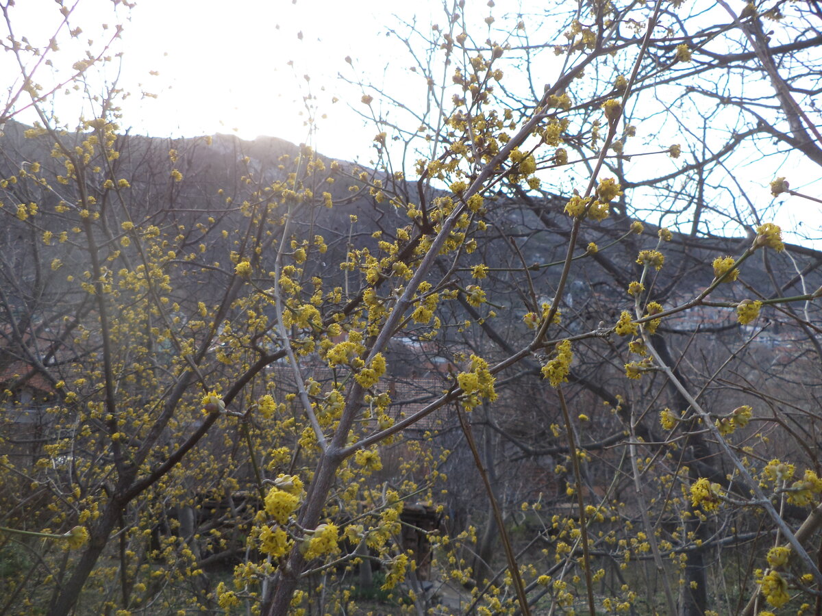 DSC00342.JPG