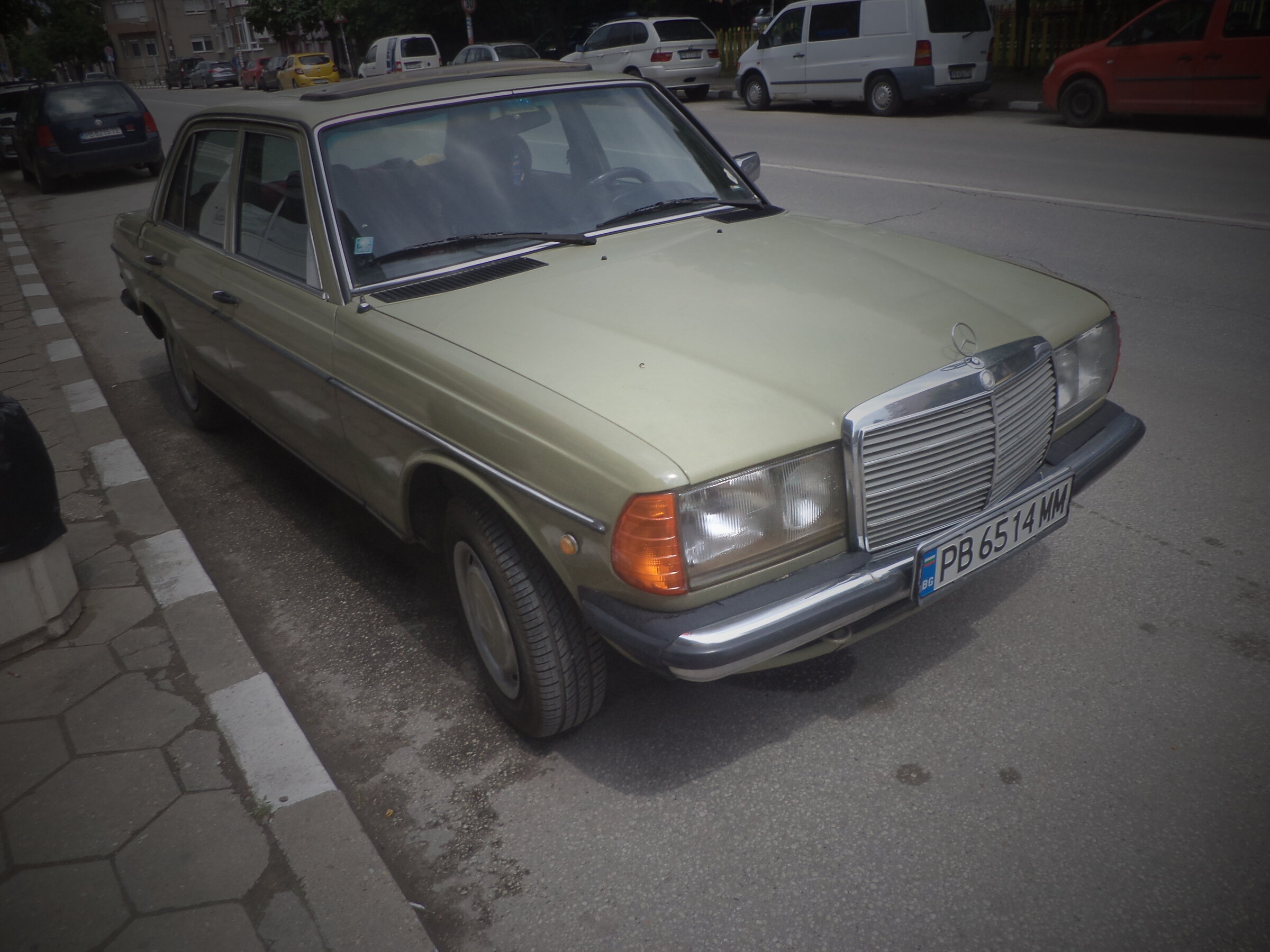 DSC00387.JPG