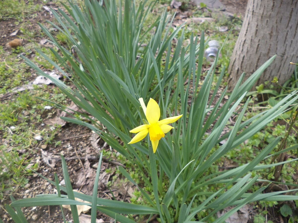 DSC00403.JPG
