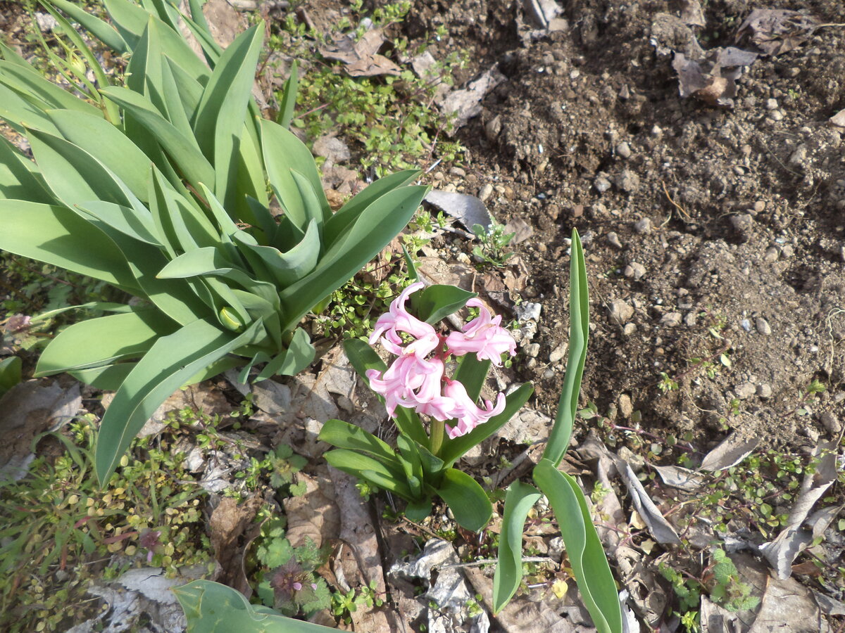 DSC00405.JPG