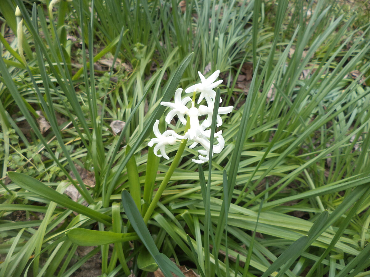 DSC00408.JPG