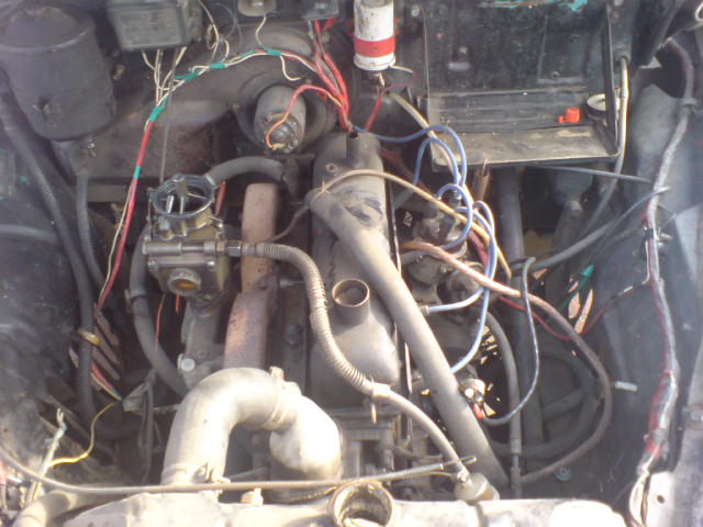 DSC00412.JPG