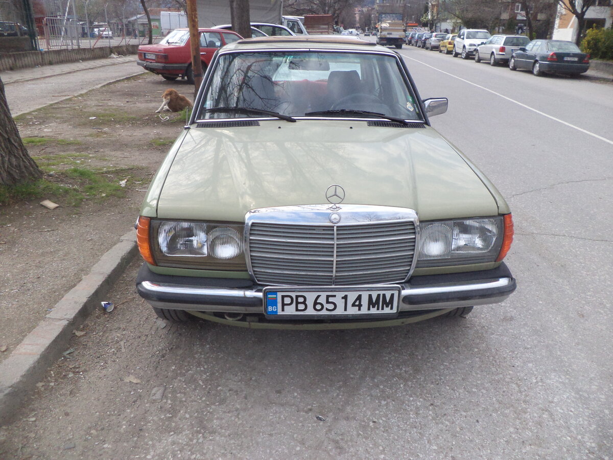 DSC00416.JPG