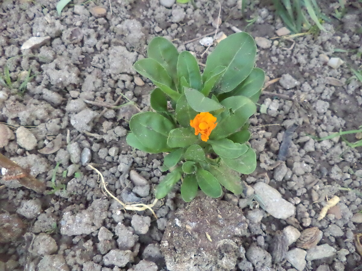 DSC00440.JPG
