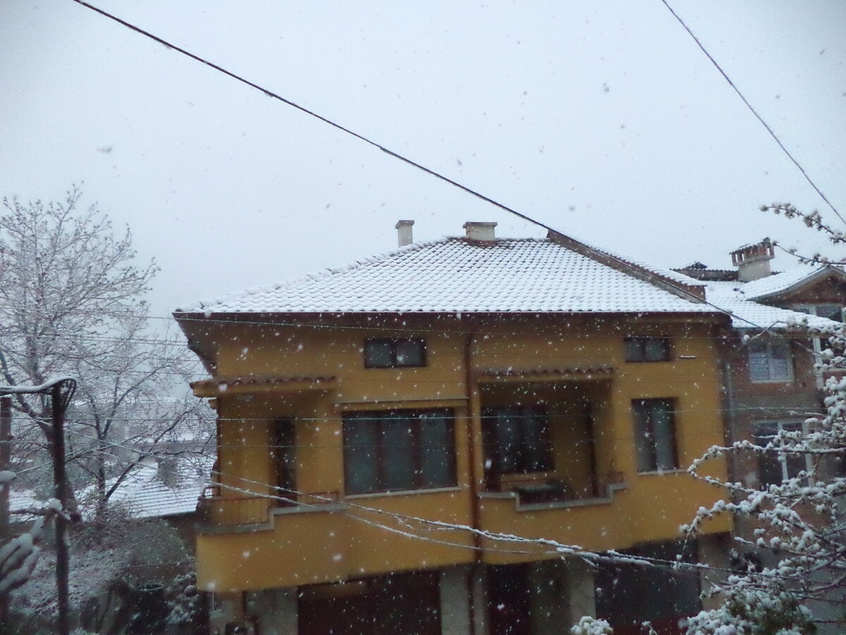DSC00449.JPG