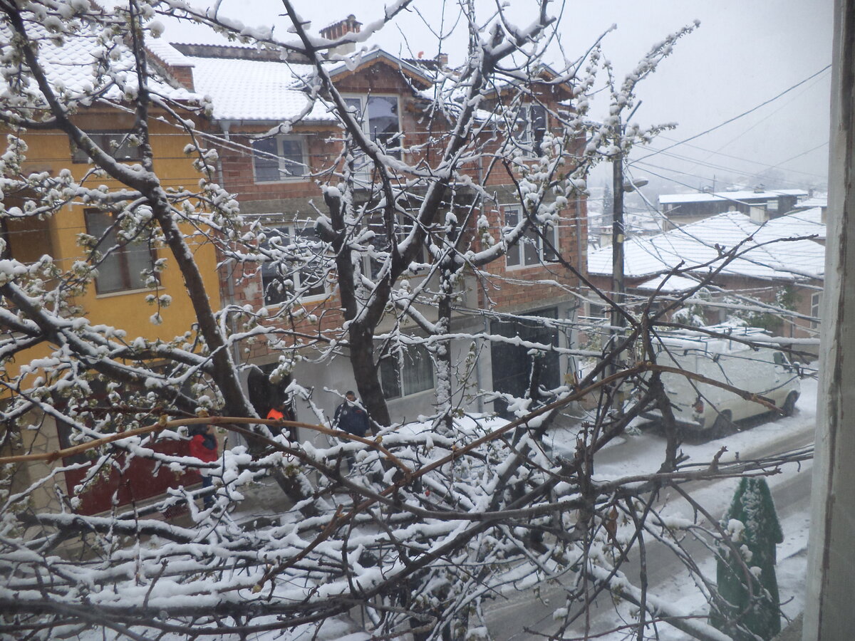 DSC00453.JPG
