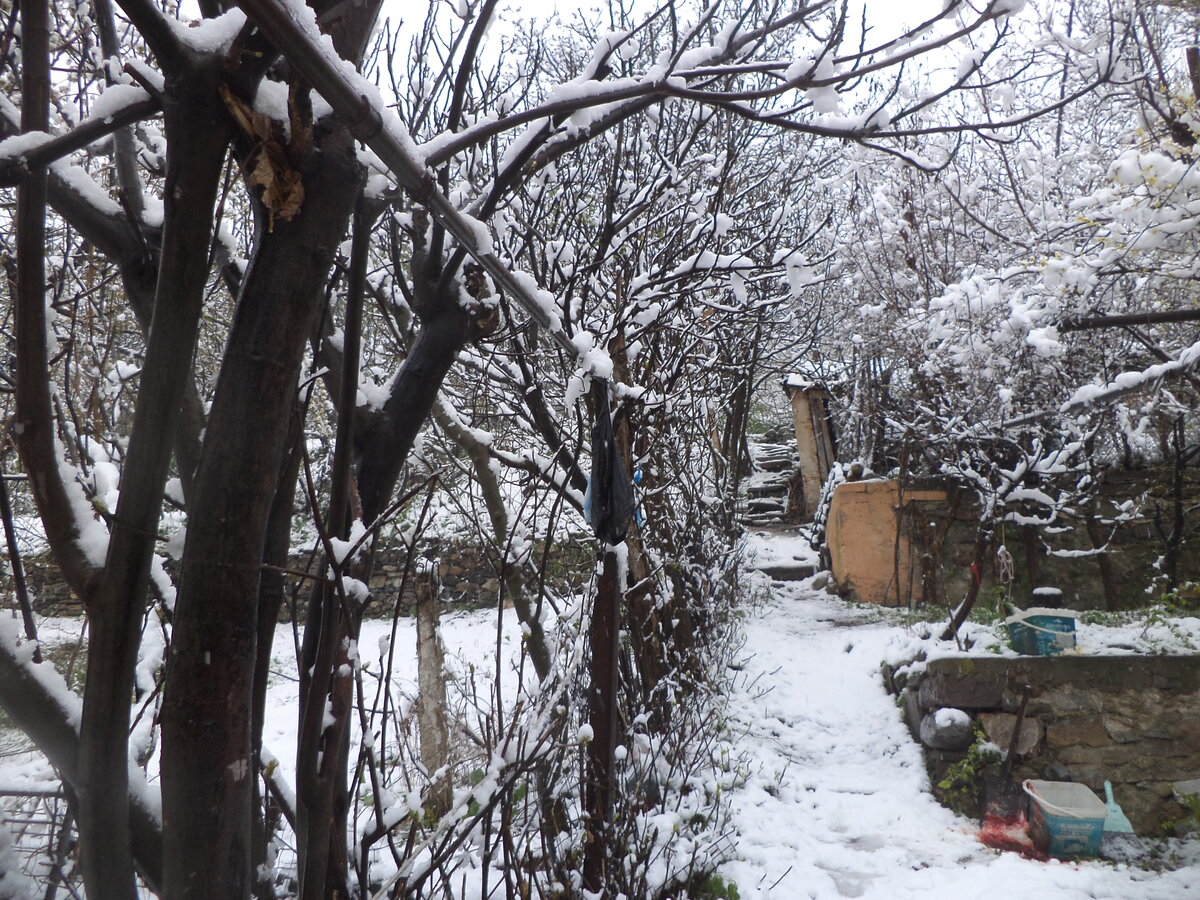 DSC00456.JPG