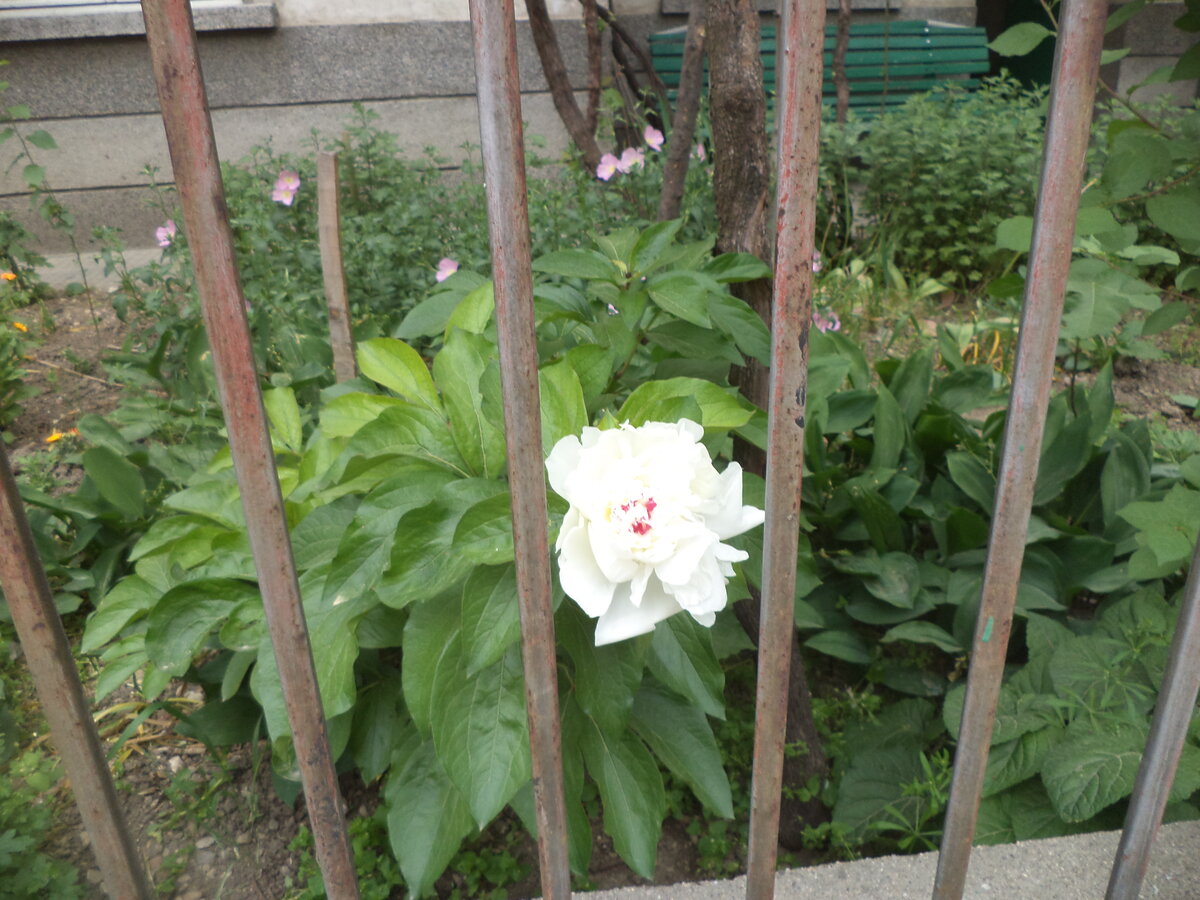 DSC00534.JPG