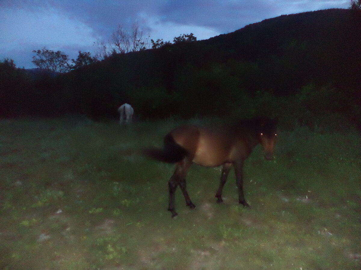 DSC00636.JPG