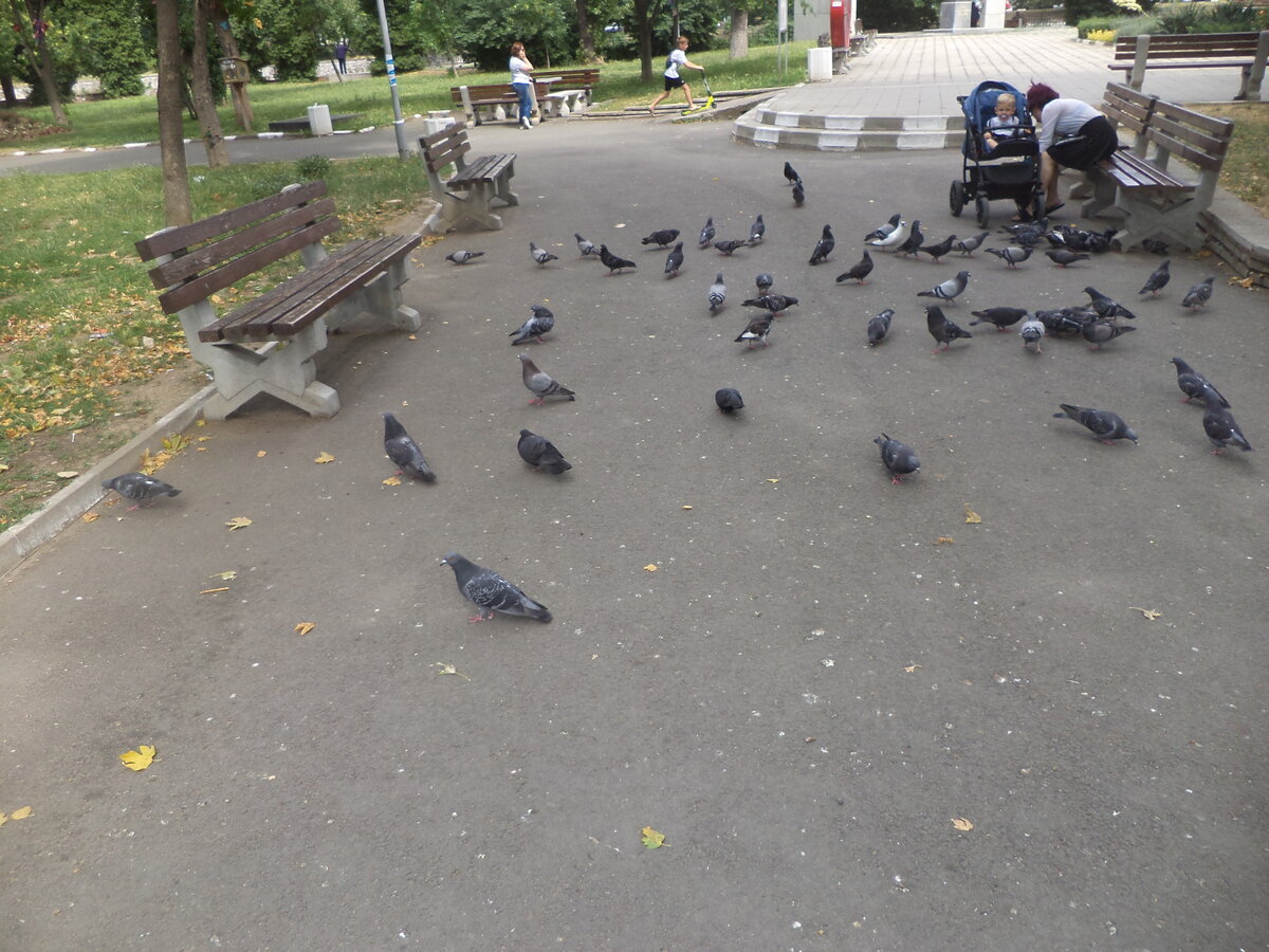 DSC00640.JPG