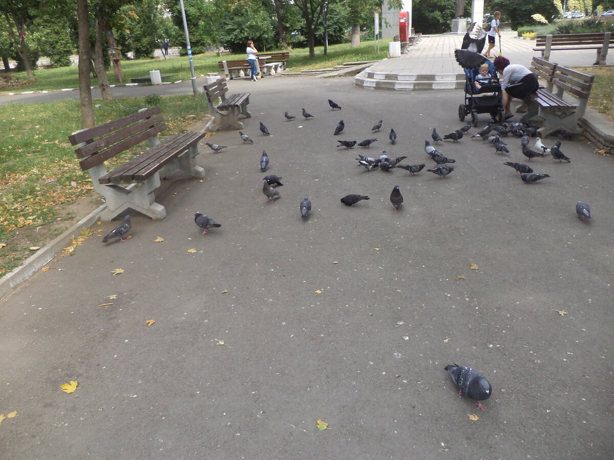 DSC00641.JPG