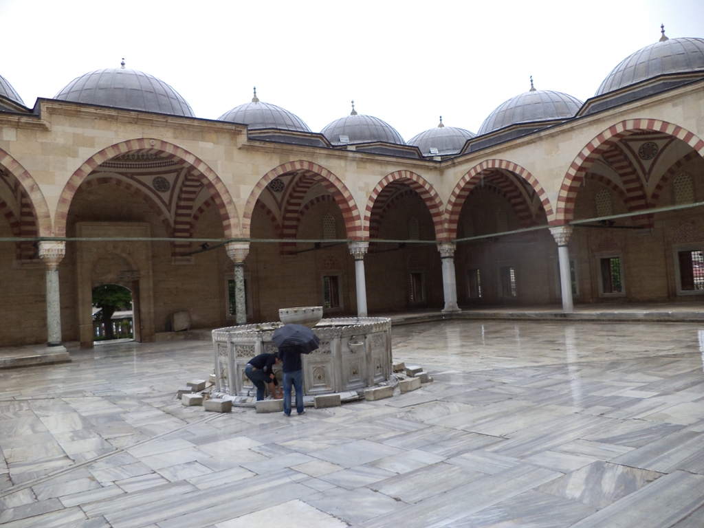 DSC00664_1.JPG