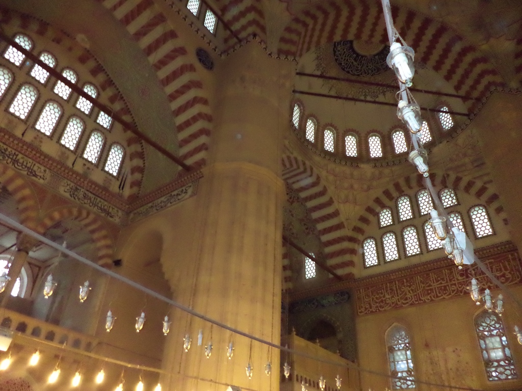 DSC00670_1.JPG