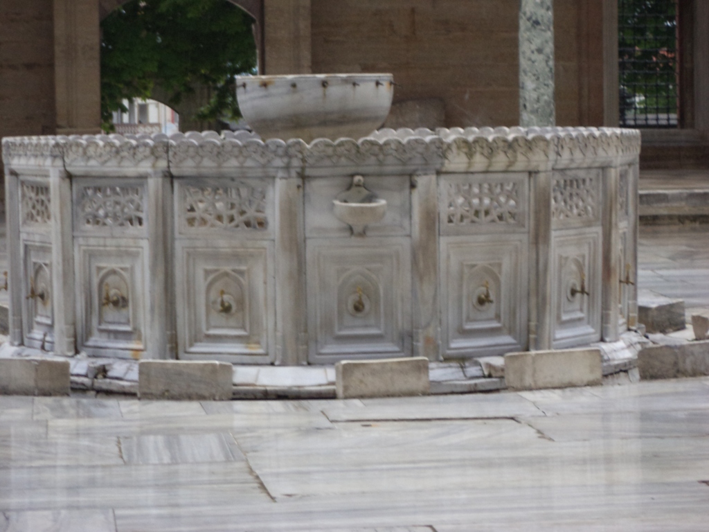 DSC00678_1.JPG