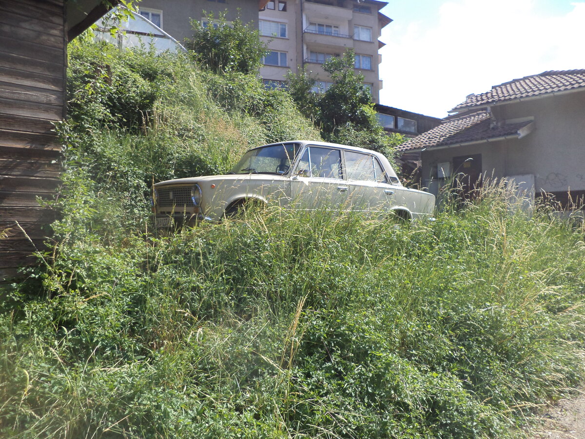 DSC00734.JPG
