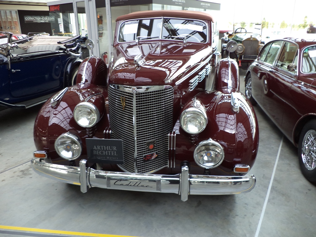DSC00848.JPG
