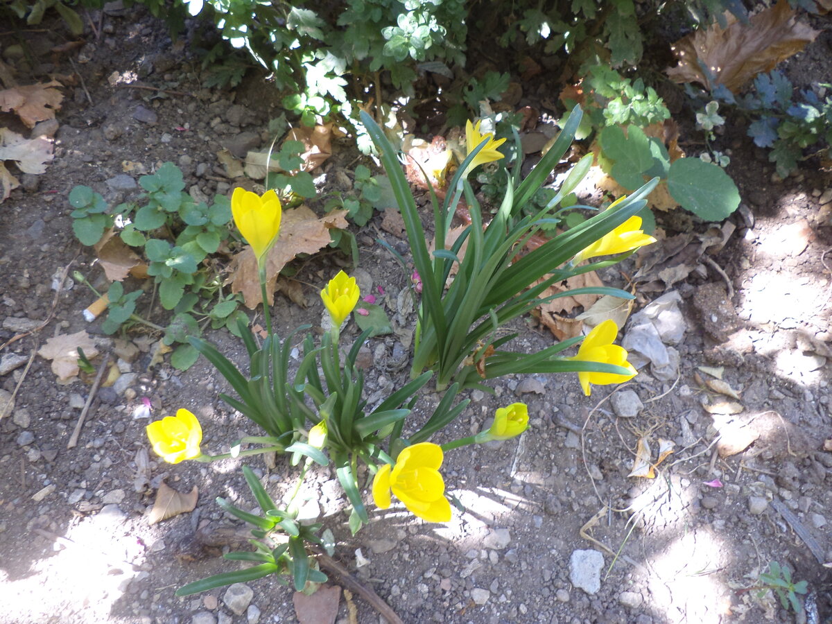 DSC00906.JPG